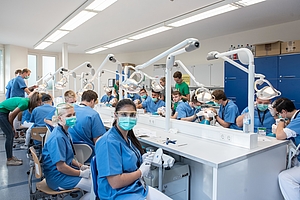 Probieren vor dem Studieren: Schnupperstudium Zahnmedizin bietet Einblicke in Praxis und Studiengang