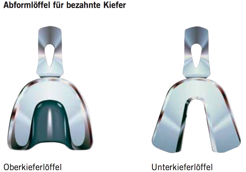 Abformlöffel bezahnter Kiefer