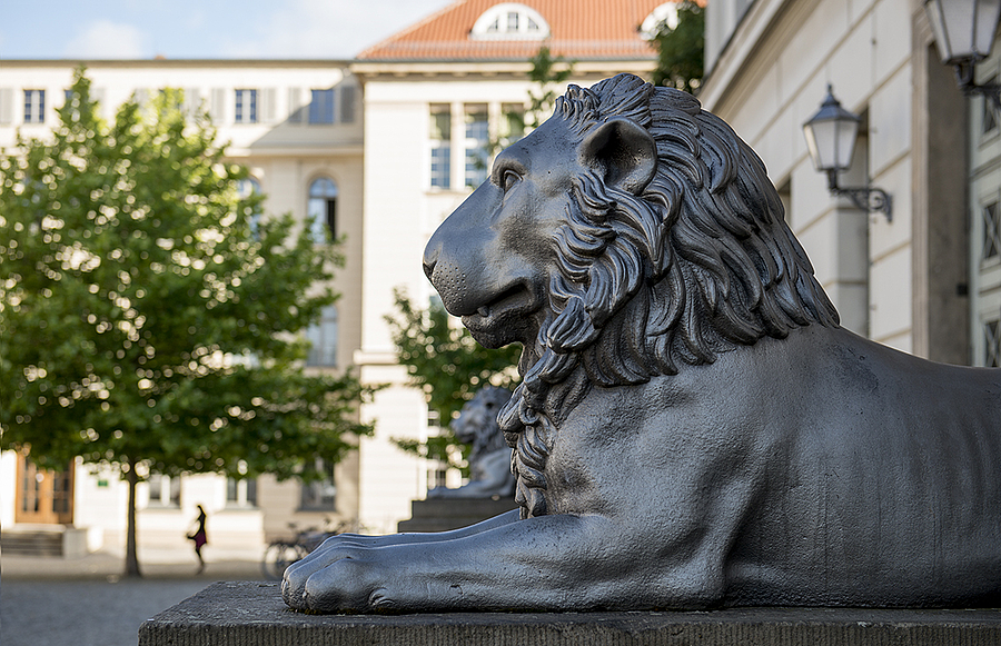 HIT in Halle: Medizinische Fakultät stellt Studiengänge vor