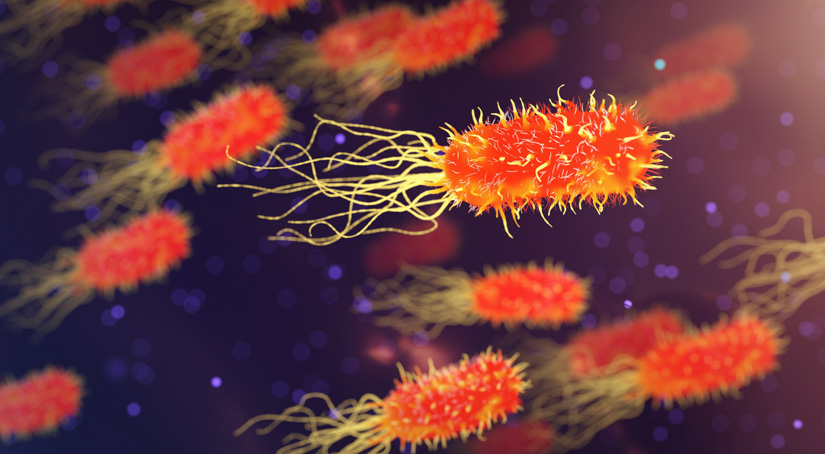 Antibiotika: Neuer Wirkstoff wirkt auch bei resistenten Bakterien